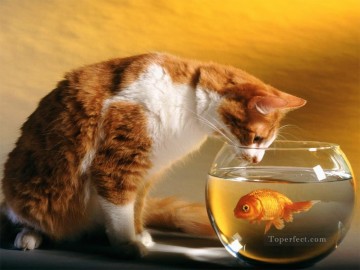 リアルな写真から Painting - 子猫の金魚の絵を写真からアートへ